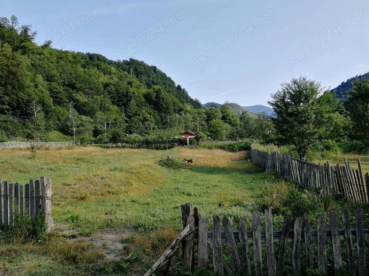 Teren de 2646 mp, în Central