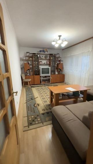 Apartament de vanzare - Dr.Tr.Severin - 5