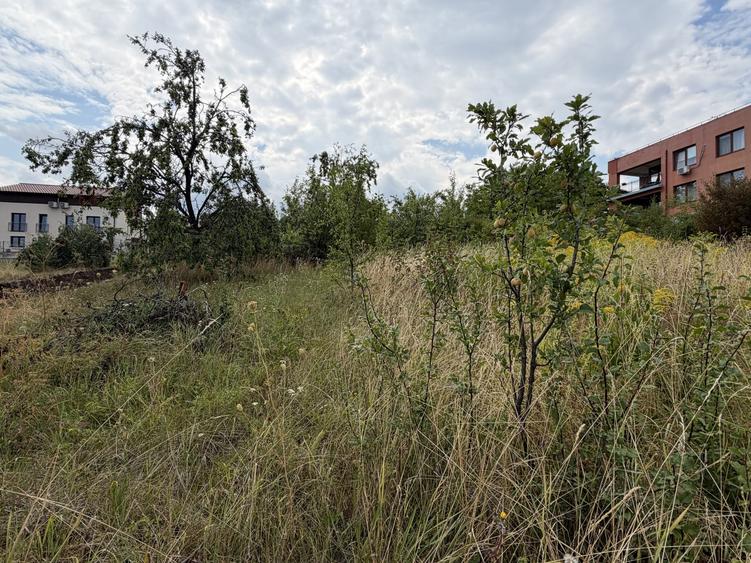 Teren Construcții intravilan de 608 mp, în Europa