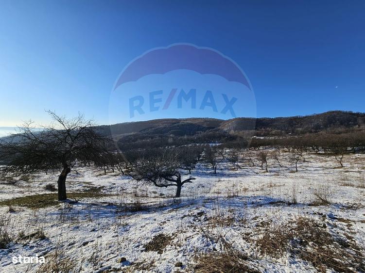 Teren 5,054mp intravilan - Strada Dealul Malului / Ramnicu Valcea - 3