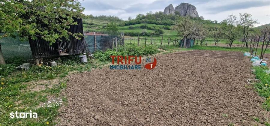 Casă cu 3 camere cu Teren 1338 Mp în Meteș