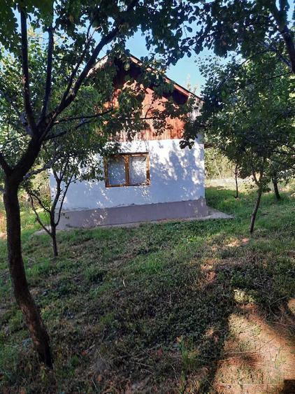 Casă individuală cu 3 camere cu Teren 1800 Mp în Central