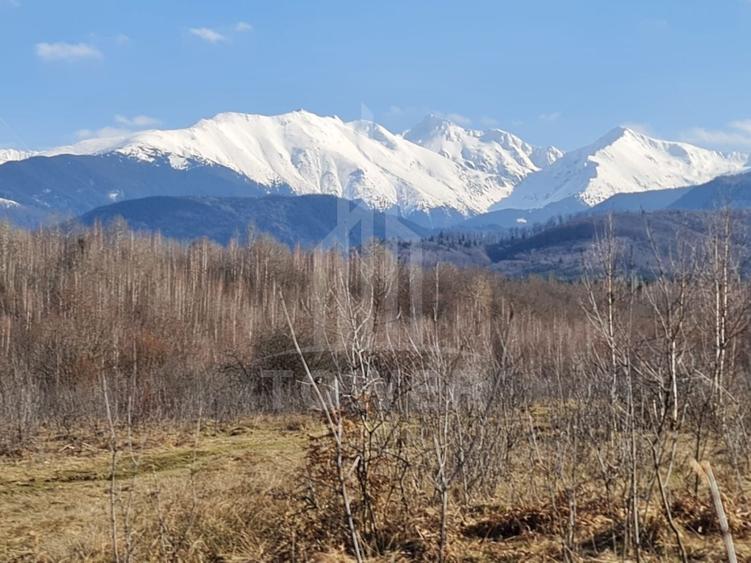 Teren extravilan de 2500 mp, în Porumbacu de Jos