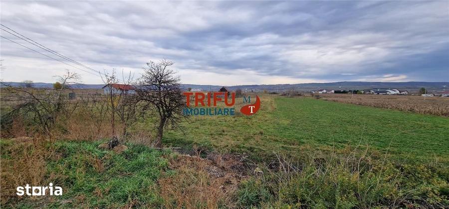 Teren de 2160 mp, în Partoș
