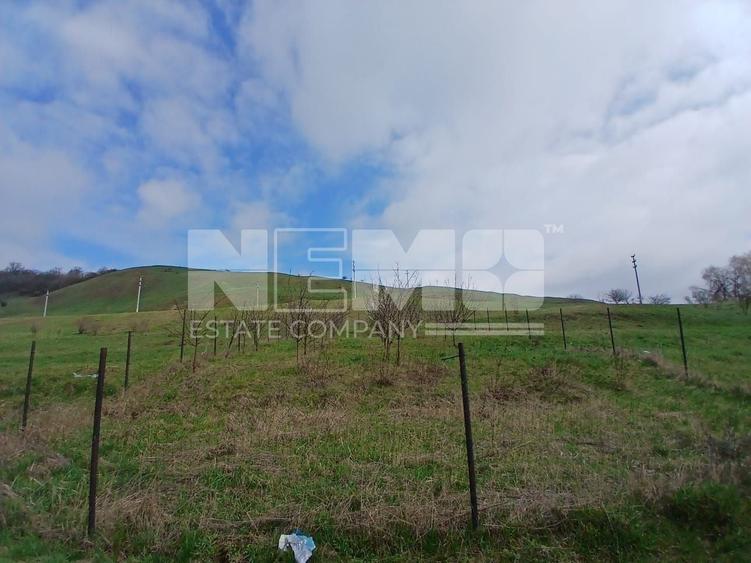 Teren agricol extravilan de 4100 mp, în Burdujeni