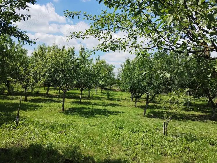 Teren de 1200 mp, în Șimand