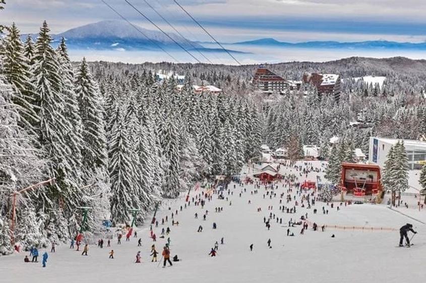 Teren Construcții intravilan de 2000 mp, în Poiana Brașov