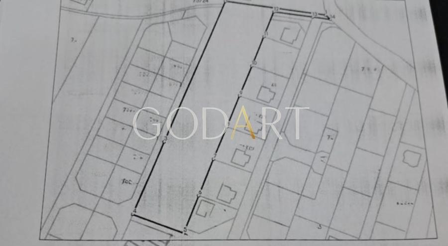 Teren Construcții intravilan de 5291 mp, în Viforâta