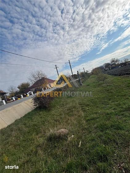 Teren de 8400 mp, în Satulung