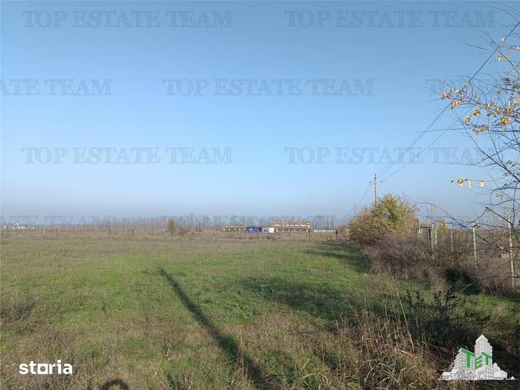 Teren de 8050 mp, în Gruiu