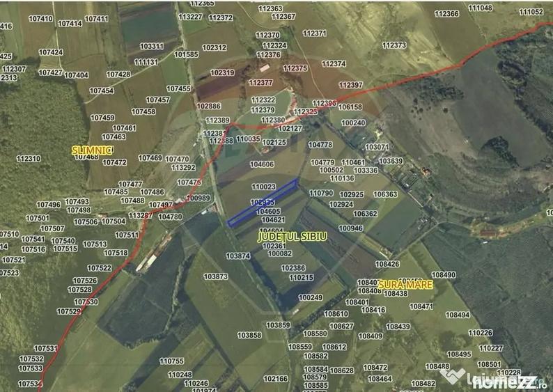 Pozi?ie excelenta pentru desfacere produse agricole sau investi?ie - Sura Mare (Sibiu) - 2