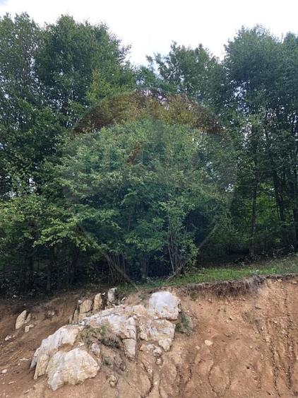 Teren Construcții de 1127 mp, în Remeți