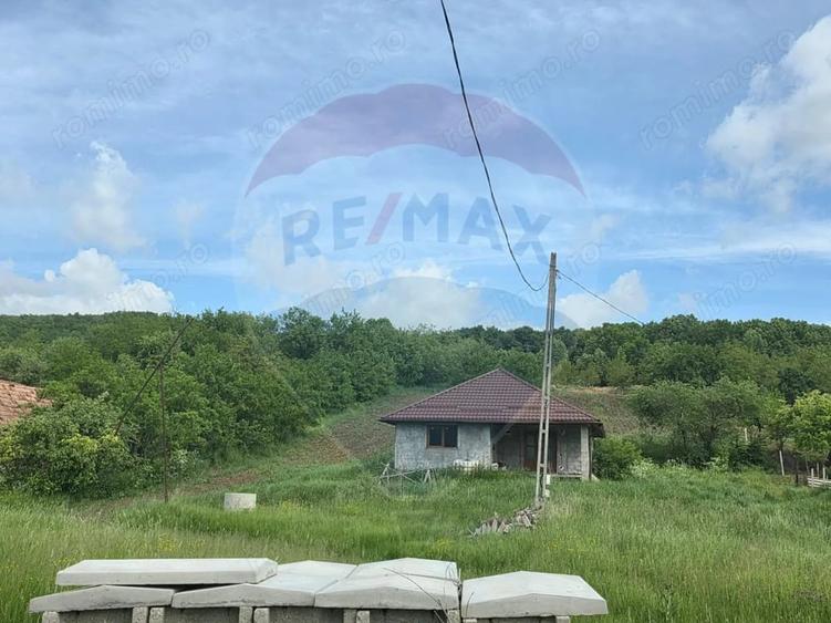 Casă cu Teren 4234 Mp în Deag