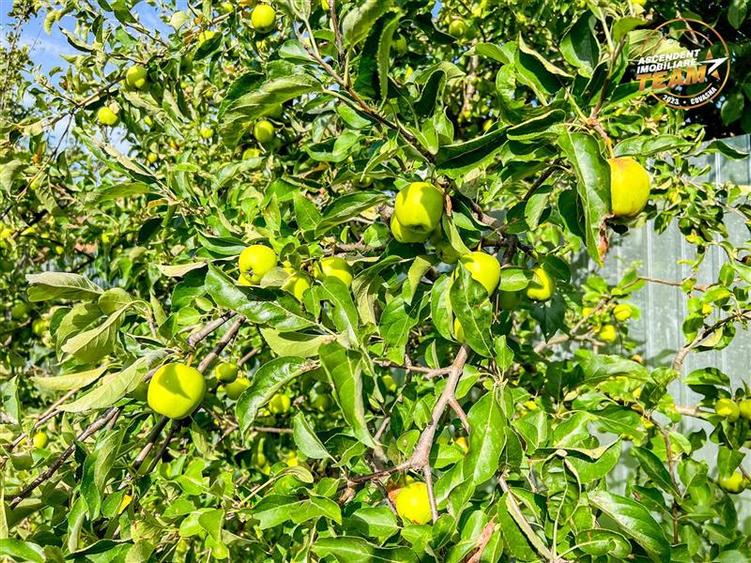 Casă individuală cu 2 camere cu Garaj în Exterior Est