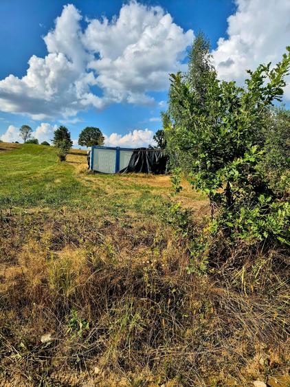 Teren agricol extravilan de 8439 mp, în Șinca Nouă