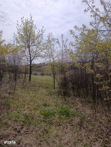 Teren de 3500 mp, în Orașul Vechi