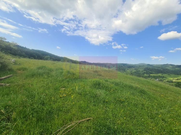 Teren agricol intravilan de 9037 mp, în Plaiul Tălii