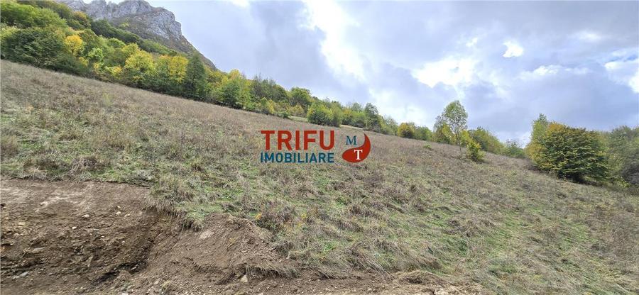 Teren intravilan de 15000 mp, în Râmeț