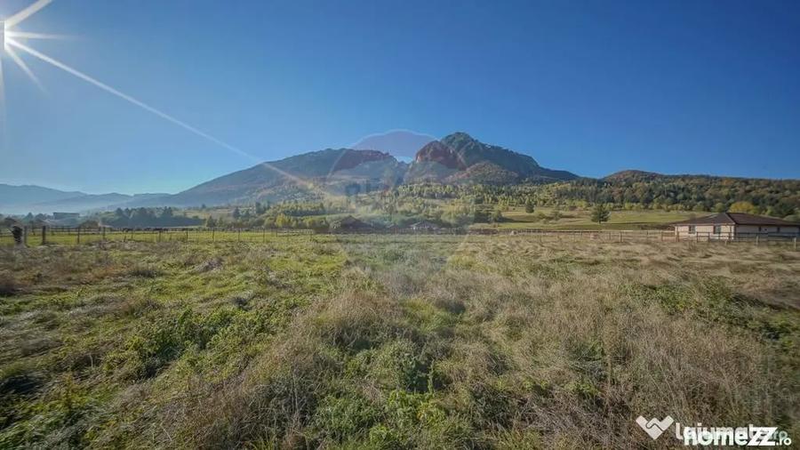 Teren de 2100 mp, în Plaiul Foii