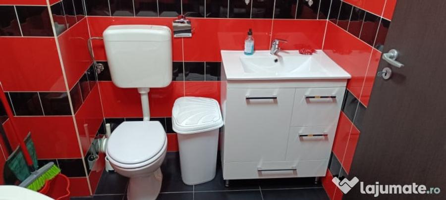 Apartament cu 2 camere decomandat în Roșu