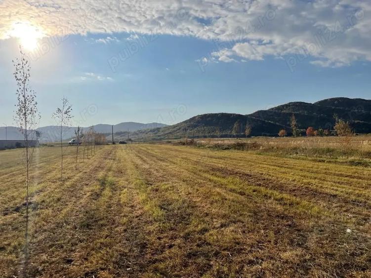 Teren intravilan 3.000 mp, deschidere 28 m, utilita?i Magureni, Prahova - 2