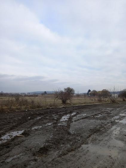 Teren Construcții intravilan de 4000 mp, în Mureșeni
