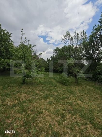 Teren de 14000 mp, în Mihai Viteazu