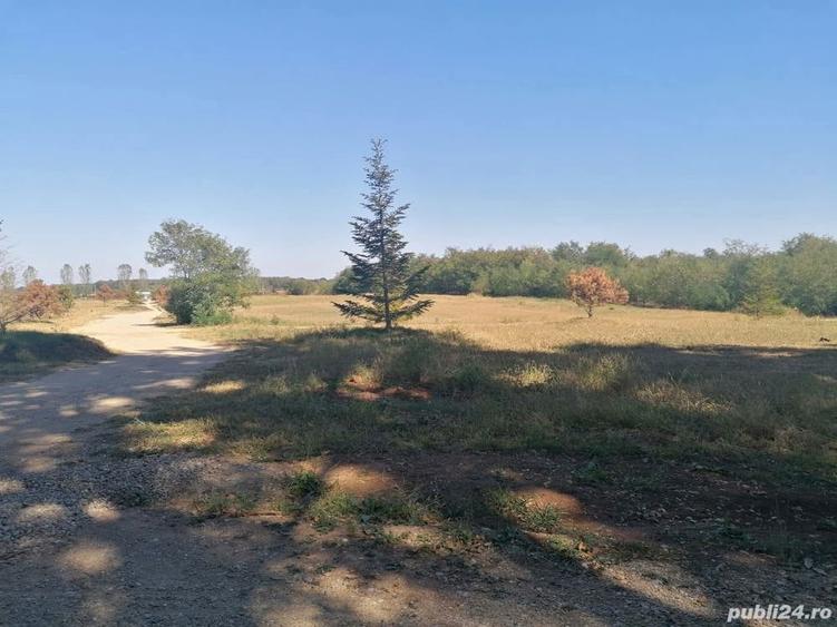 Teren de 4350 mp, în Bălteni