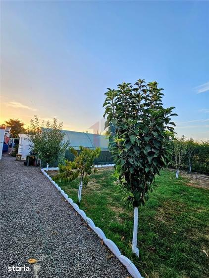 Casă cu 5 camere cu Teren 1000 Mp în Chiscani