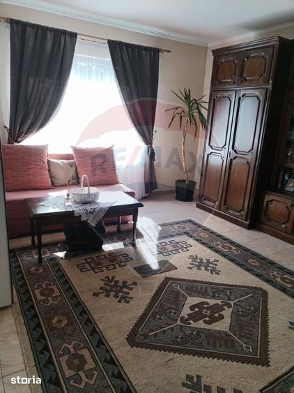 Casa individuala, teren 3275 mp, 6 camere, livada cu pomi fructiferi - 2