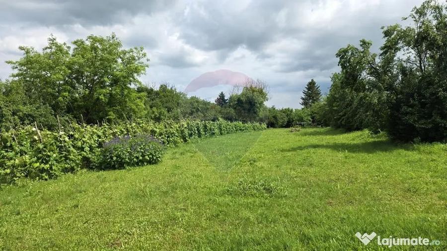 Domeniu rural, gospodarie/multifunctionala cu casa, livad... - 1