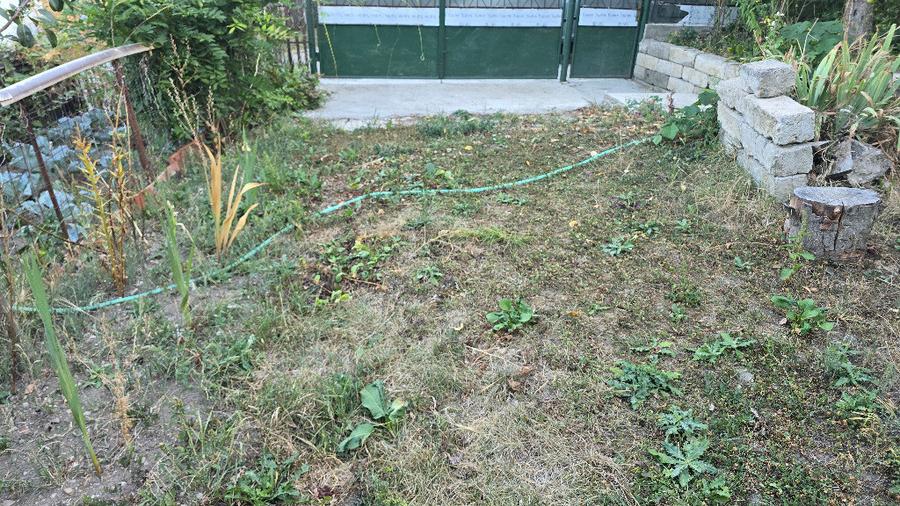 Vand casa in Deva, zona Viile Noi, suprafata totala de teren de 766 mp - 9