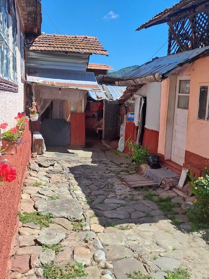 Casă cu 3 camere în Central