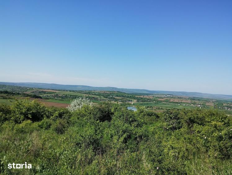 Teren de 350 mp, în Bârnova