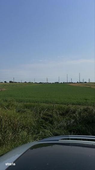 Teren parcelat in Ipotesti 4 parcele - 3