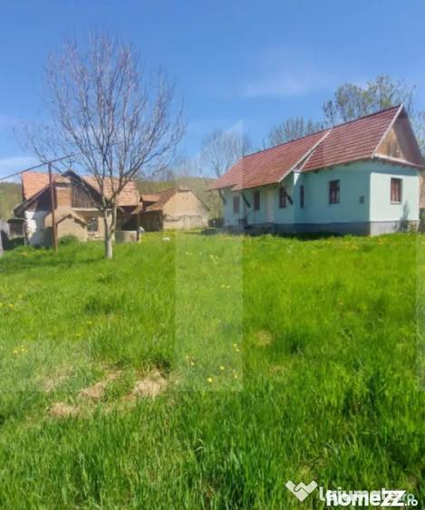 Casă cu 2 camere cu Teren 3100 Mp în Lisnău