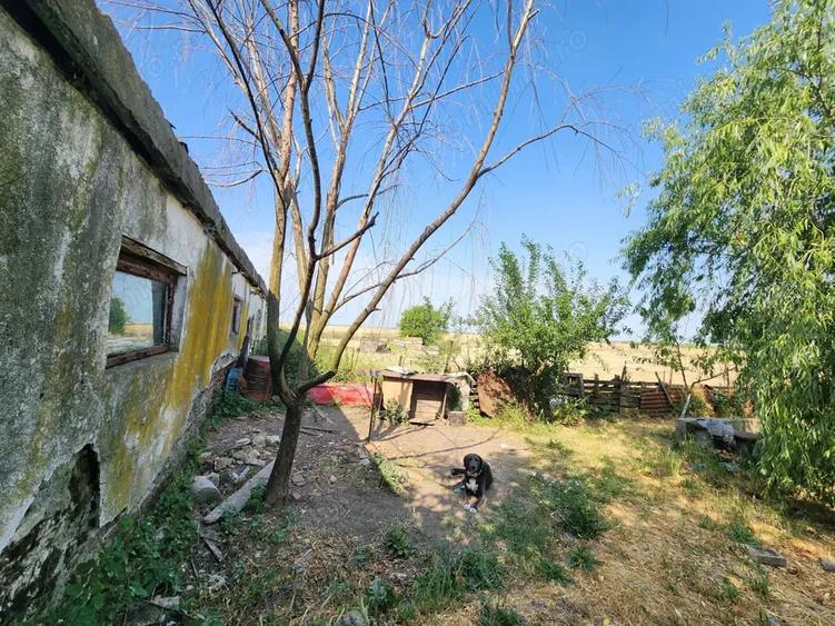 Spațiu comercial, de 600 mp, în Sânandrei