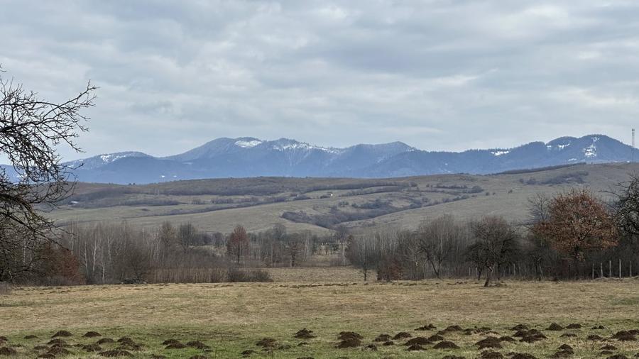 Teren Construcții extravilan de 30000 mp, în Sighetu Marmației