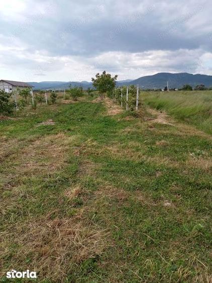 Teren de 1800 mp, în Recea