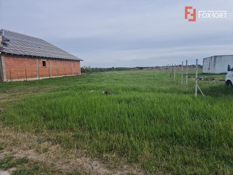 Teren Construcții intravilan de 601 mp, în Remetea Mare