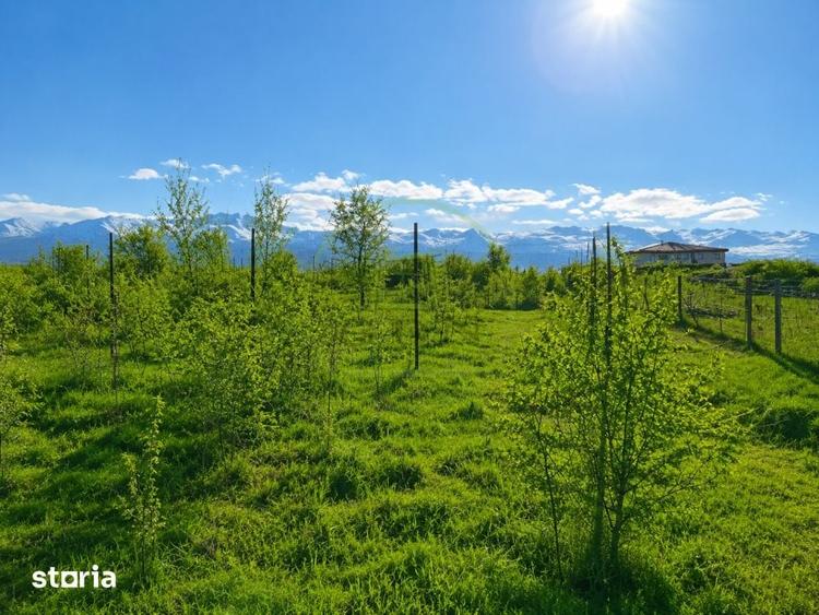 Teren de 500 mp, în Șelimbăr