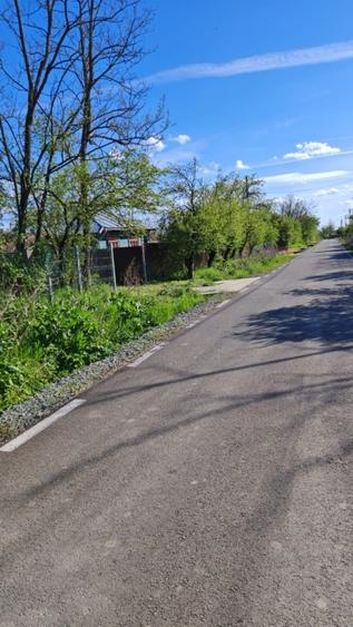 Vand proprietate - 15