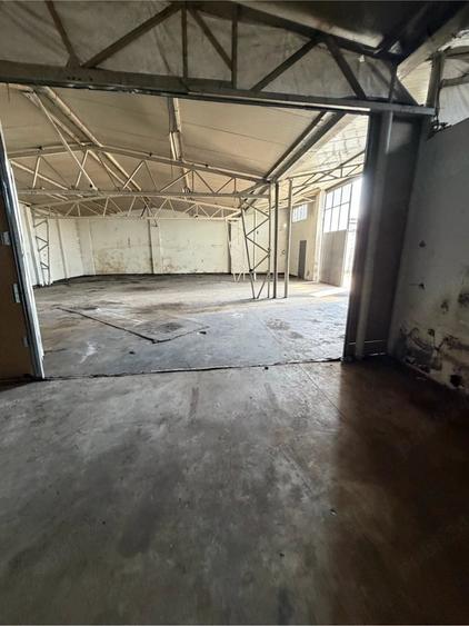 Spațiu comercial, de 224 mp, în Fratelia
