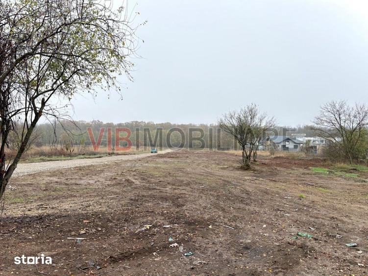 Teren intravilan de vanzare in Snagov Ciofliceni - 6