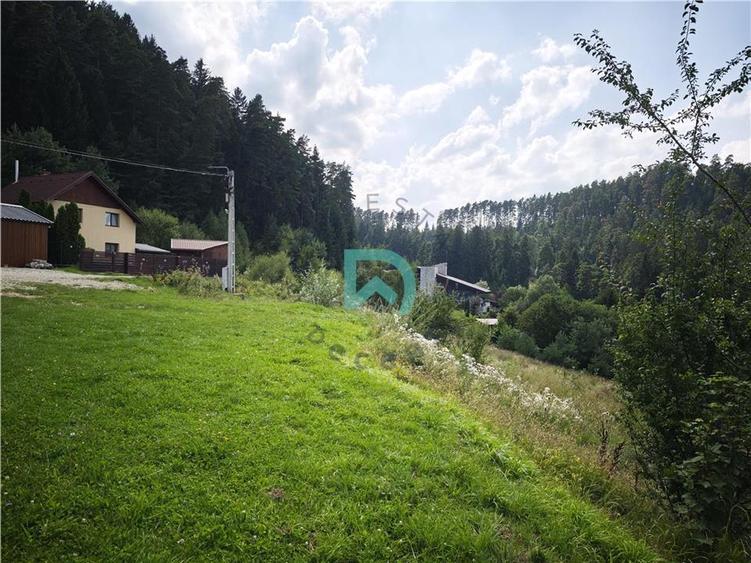 Teren Construcții intravilan de 1500 mp, în Poiana Angelescu