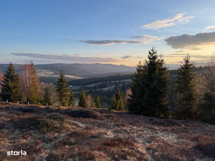 Teren intravilan 4.930 mp | Dealu Botii | Panorama superba - 3