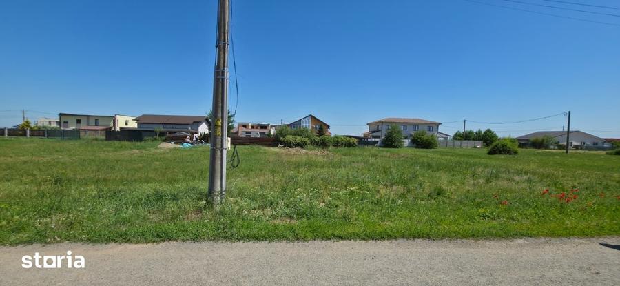 TEREN PREMIUM DE VANZARE IN DUMBRAVI?A LANGA PADURE - 2