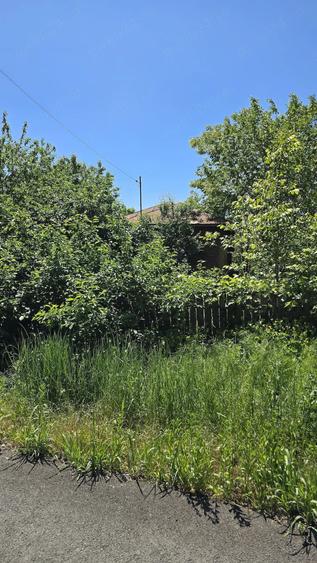 Casă cu Teren 850 Mp în Central