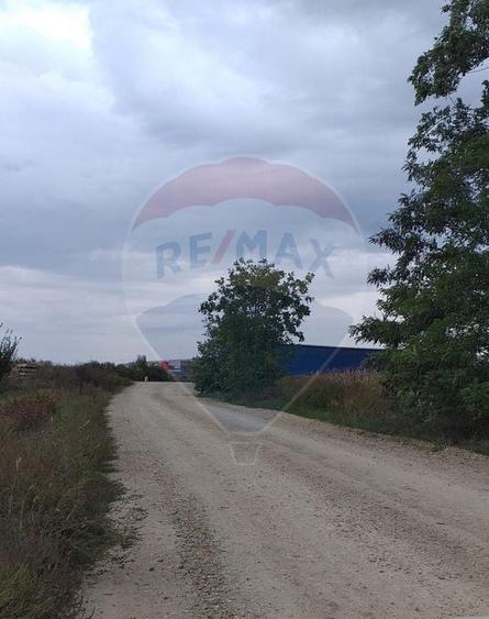 Teren agricol extravilan de 3000 mp, în Sântion
