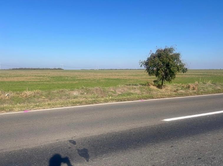 Teren agricol extravilan de 23390 mp, în Central